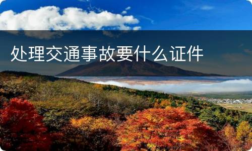 处理交通事故要什么证件
