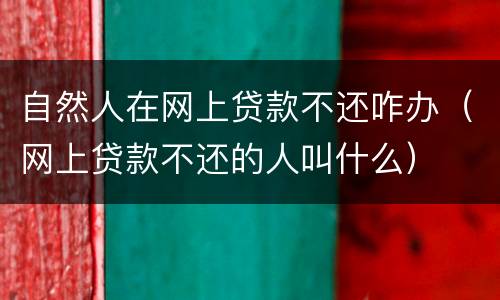 自然人在网上贷款不还咋办（网上贷款不还的人叫什么）