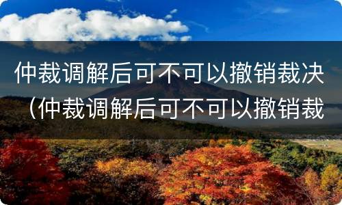 仲裁调解后可不可以撤销裁决（仲裁调解后可不可以撤销裁决案件）
