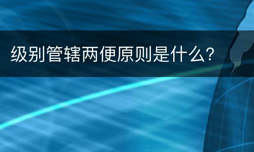 级别管辖两便原则是什么？