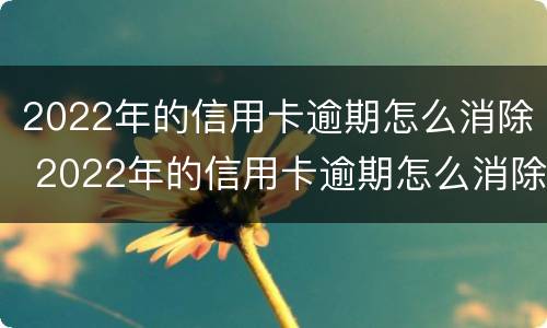 2022年的信用卡逾期怎么消除 2022年的信用卡逾期怎么消除记录