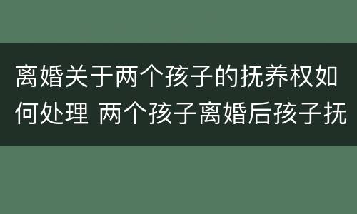 离婚关于两个孩子的抚养权如何处理 两个孩子离婚后孩子抚养权问题