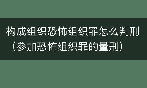 构成组织恐怖组织罪怎么判刑（参加恐怖组织罪的量刑）
