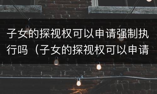 子女的探视权可以申请强制执行吗（子女的探视权可以申请强制执行吗法律规定）