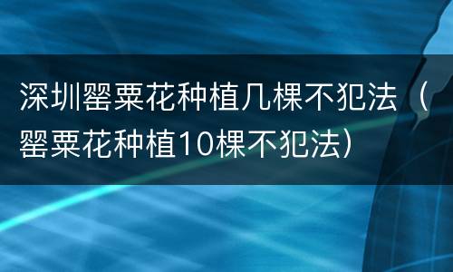 深圳罂粟花种植几棵不犯法（罂粟花种植10棵不犯法）