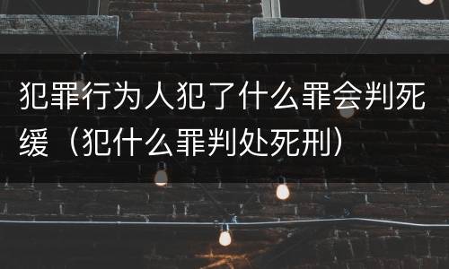 犯罪行为人犯了什么罪会判死缓（犯什么罪判处死刑）
