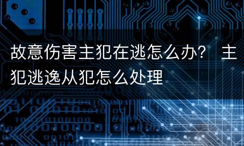 故意伤害主犯在逃怎么办？ 主犯逃逸从犯怎么处理