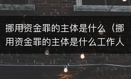 挪用资金罪的主体是什么（挪用资金罪的主体是什么工作人员）