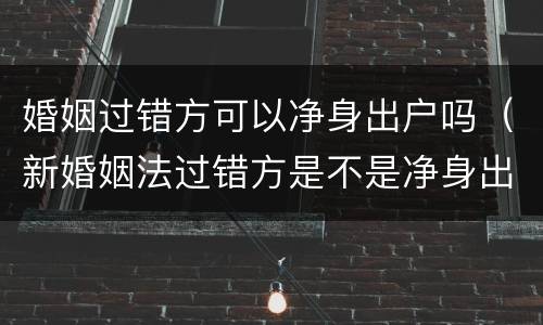 婚姻过错方可以净身出户吗（新婚姻法过错方是不是净身出户）