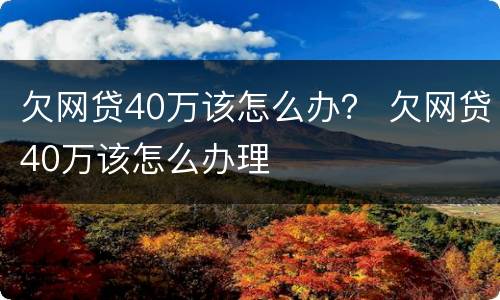 欠网贷40万该怎么办？ 欠网贷40万该怎么办理