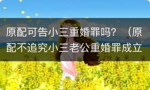原配可告小三重婚罪吗？（原配不追究小三老公重婚罪成立吗）