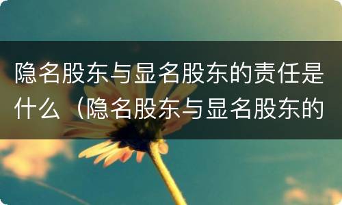 隐名股东与显名股东的责任是什么（隐名股东与显名股东的责任是什么区别）