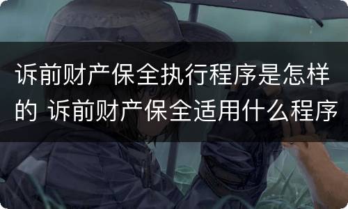 诉前财产保全执行程序是怎样的 诉前财产保全适用什么程序