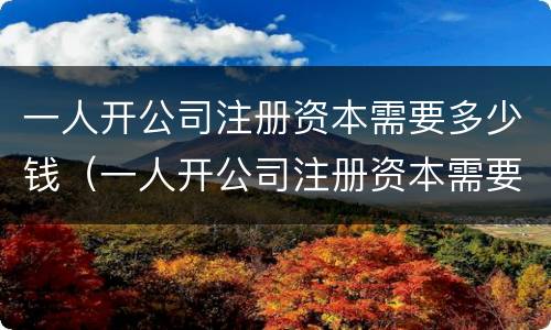 一人开公司注册资本需要多少钱（一人开公司注册资本需要多少钱一个月）