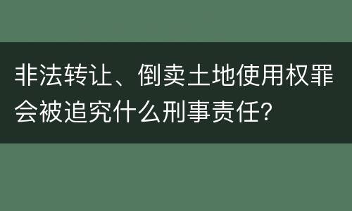 非法转让、倒卖土地使用权罪会被追究什么刑事责任？