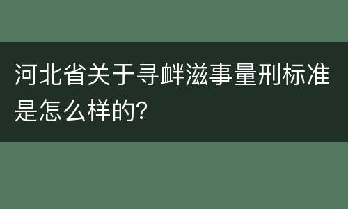 河北省关于寻衅滋事量刑标准是怎么样的？