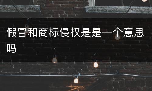 假冒和商标侵权是是一个意思吗