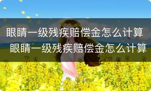 眼睛一级残疾赔偿金怎么计算 眼睛一级残疾赔偿金怎么计算的