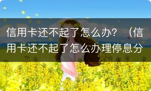 信用卡还不起了怎么办？（信用卡还不起了怎么办理停息分期）