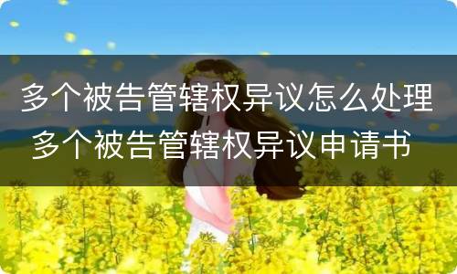 多个被告管辖权异议怎么处理 多个被告管辖权异议申请书