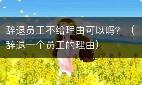 辞退员工不给理由可以吗？（辞退一个员工的理由）