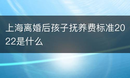 上海离婚后孩子抚养费标准2022是什么