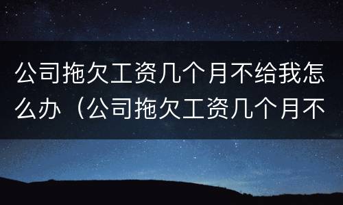公司拖欠工资几个月不给我怎么办（公司拖欠工资几个月不给我怎么办呢）