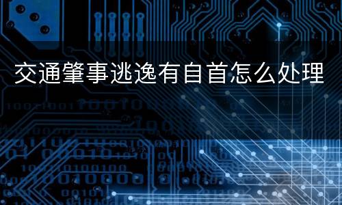 交通肇事逃逸有自首怎么处理