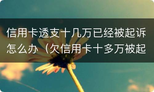信用卡透支十几万已经被起诉怎么办（欠信用卡十多万被起诉了）