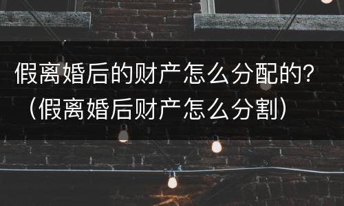 假离婚后的财产怎么分配的？（假离婚后财产怎么分割）