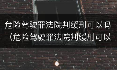 危险驾驶罪法院判缓刑可以吗（危险驾驶罪法院判缓刑可以吗判几年）
