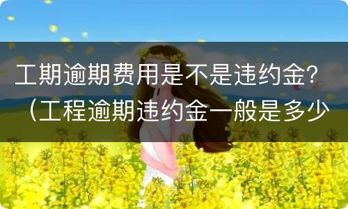 工期逾期费用是不是违约金？（工程逾期违约金一般是多少）