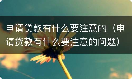 申请贷款有什么要注意的（申请贷款有什么要注意的问题）