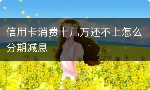 信用卡消费十几万还不上怎么分期减息