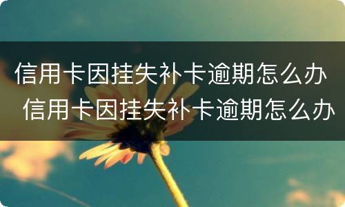 信用卡因挂失补卡逾期怎么办 信用卡因挂失补卡逾期怎么办理