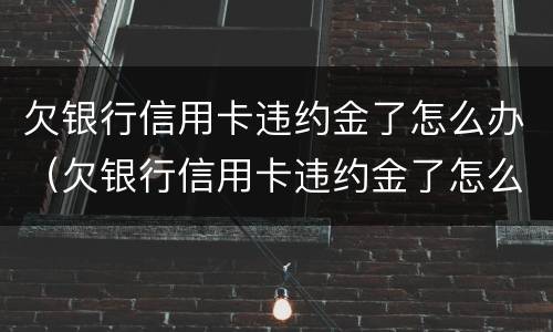 欠银行信用卡违约金了怎么办（欠银行信用卡违约金了怎么办呢）