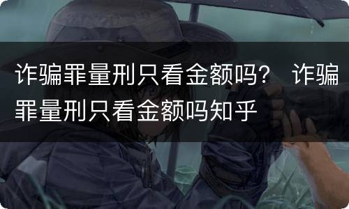 诈骗罪量刑只看金额吗？ 诈骗罪量刑只看金额吗知乎