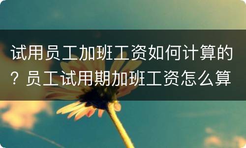 试用员工加班工资如何计算的? 员工试用期加班工资怎么算