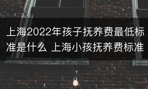 上海2022年孩子抚养费最低标准是什么 上海小孩抚养费标准一月多少钱2020年