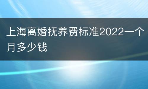 上海离婚抚养费标准2022一个月多少钱