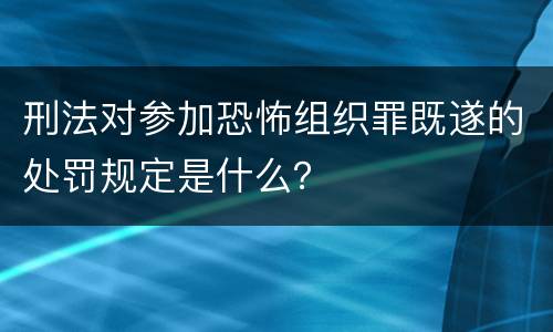 刑法对参加恐怖组织罪既遂的处罚规定是什么？