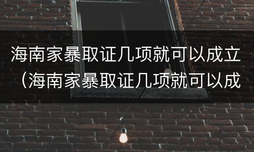 海南家暴取证几项就可以成立（海南家暴取证几项就可以成立了）