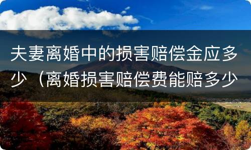 夫妻离婚中的损害赔偿金应多少（离婚损害赔偿费能赔多少钱）