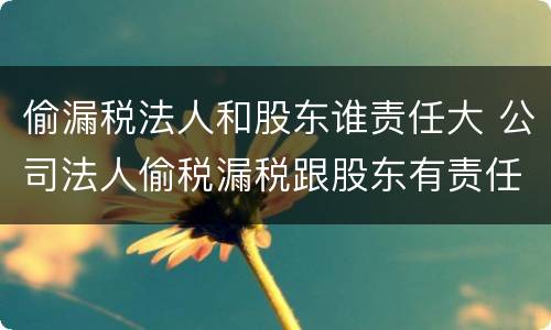 偷漏税法人和股东谁责任大 公司法人偷税漏税跟股东有责任吗