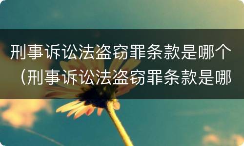 刑事诉讼法盗窃罪条款是哪个（刑事诉讼法盗窃罪条款是哪个规定）