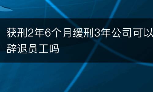 获刑2年6个月缓刑3年公司可以辞退员工吗