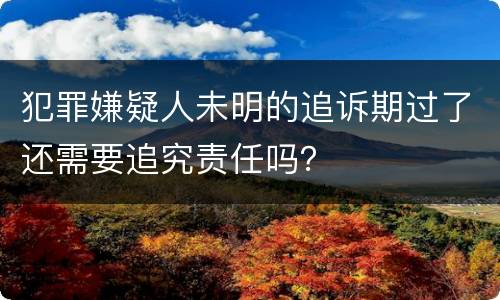 犯罪嫌疑人未明的追诉期过了还需要追究责任吗？