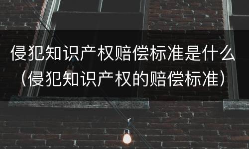 侵犯知识产权赔偿标准是什么（侵犯知识产权的赔偿标准）