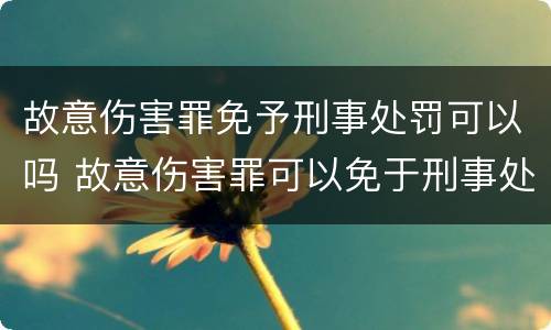 故意伤害罪免予刑事处罚可以吗 故意伤害罪可以免于刑事处罚吗