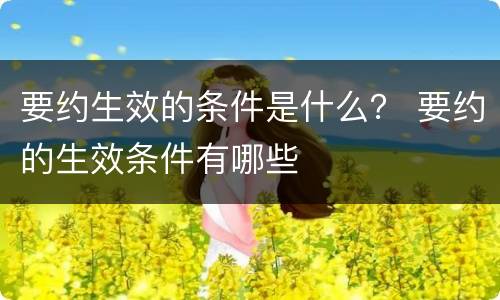 要约生效的条件是什么？ 要约的生效条件有哪些
